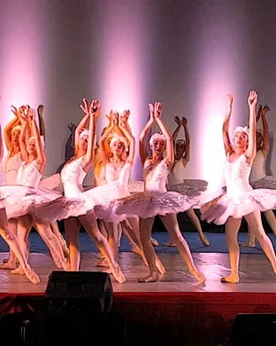 Swan Lake Fort Lauderdale